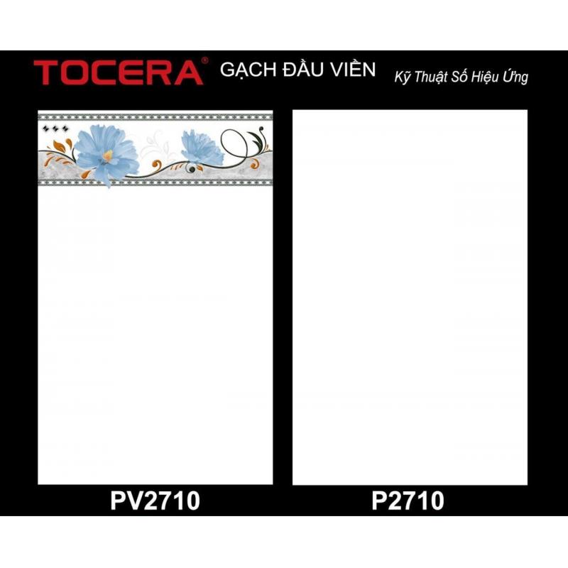 Gạch 25x40 Men bóng phẵng - Thân P2710