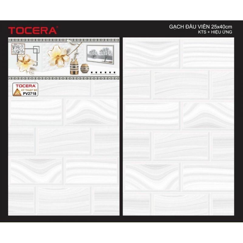 Gạch 25x40 Men bóng phẵng - Thân P2718