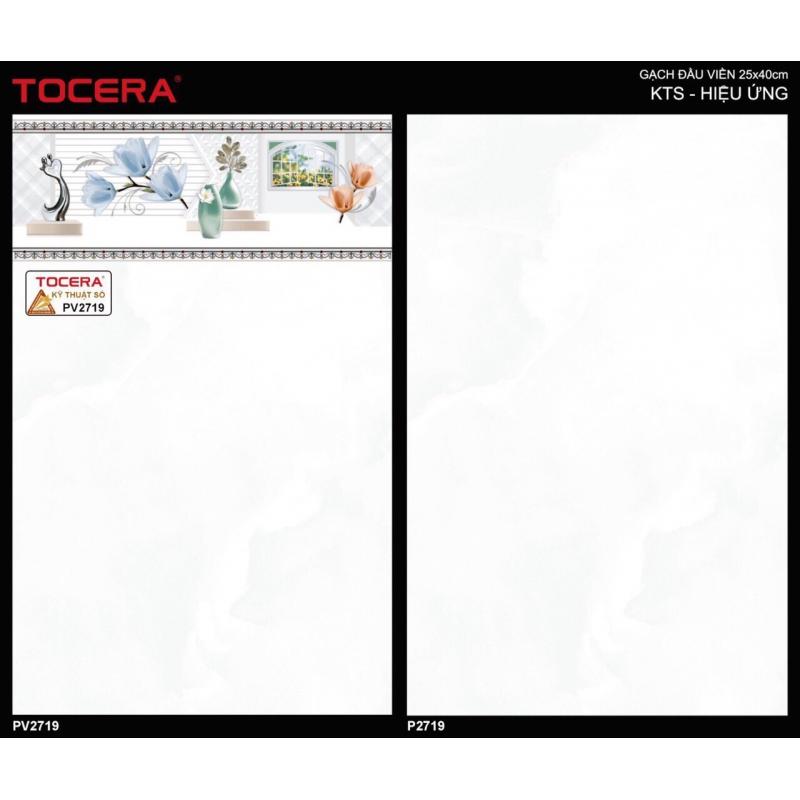 Gạch 25x40 Men bóng phẵng - Thân P2719
