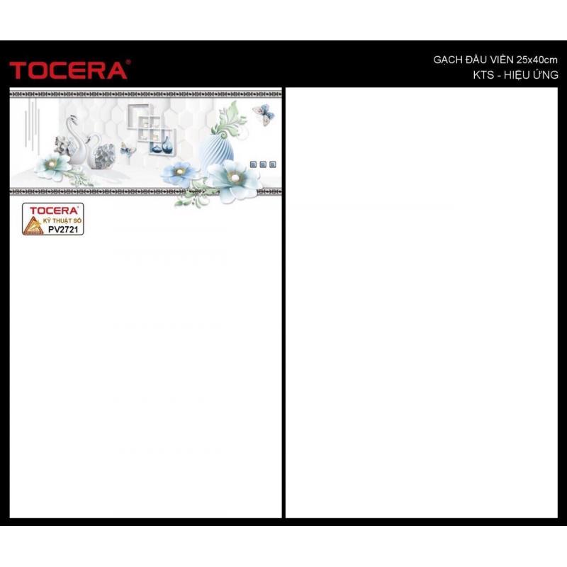 Gạch 25x40 Men bóng phẵng - Thân P2721