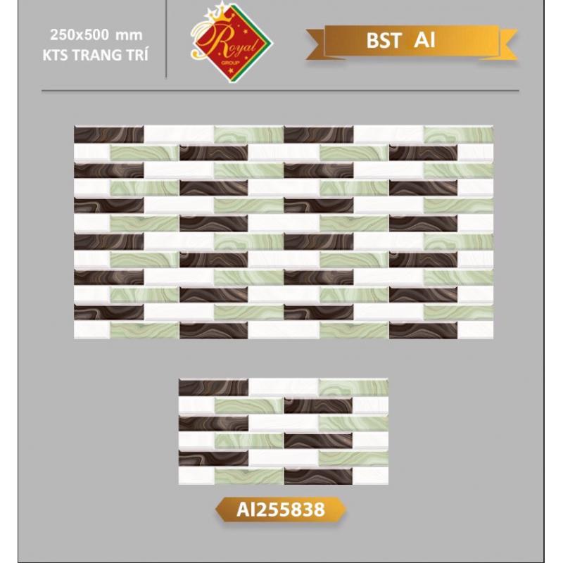 Gạch 25x50 Trang trí AI255838