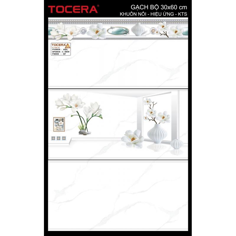 Gạch 30x60 Men bóng thân( Đậm, nhạt) P36936