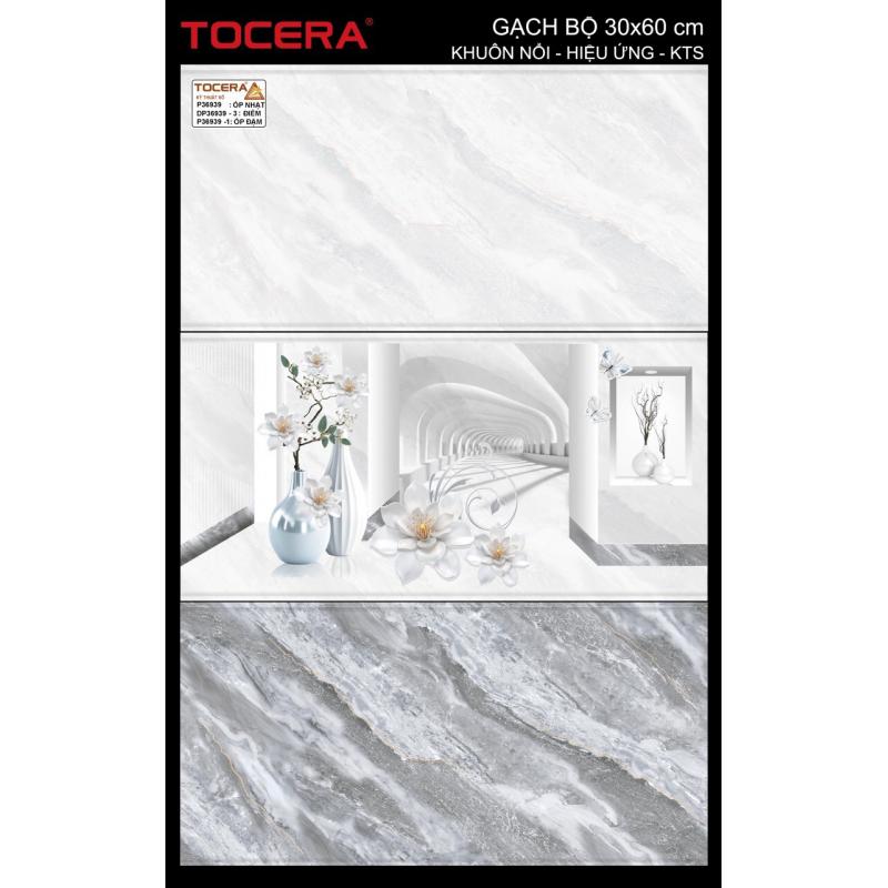 Gạch 30x60 Men bóng thân( Đậm, nhạt) P36939