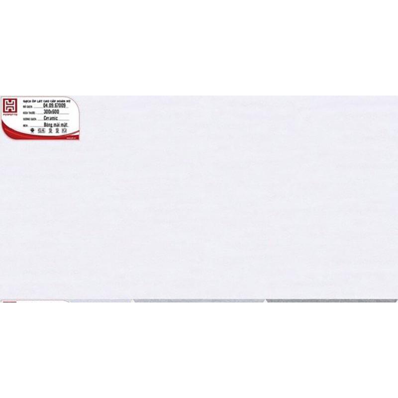 Gạch ốp 30x60 Đậm nhạt PE67009