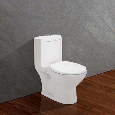 Bàn cầu 2 khối SBTE (Bệt trẻ em, PK 1 nhấn, nắp BTE)