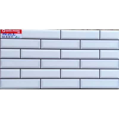 Gạch 20x40 HG202