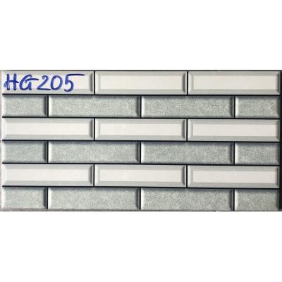 Gạch 20x40 HG205