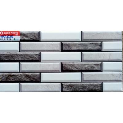 Gạch 20x40 HG209