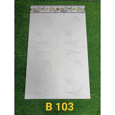 Gạch 25x40 thân - viền B103