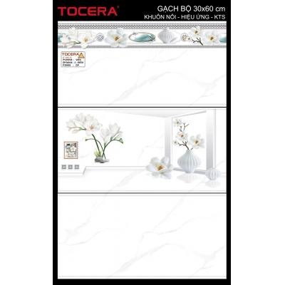 Gạch 30x60 Men bóng thân( Đậm, nhạt) P36936