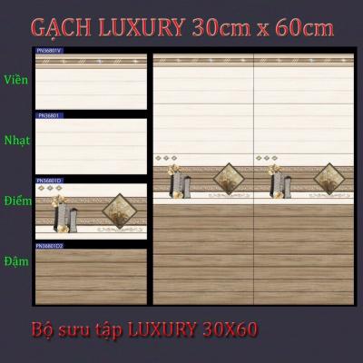 Gạch 30x60 Viền PN.36801V