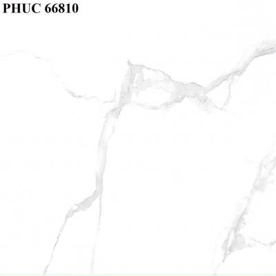 Gạch 60x60 PHÚC 66810