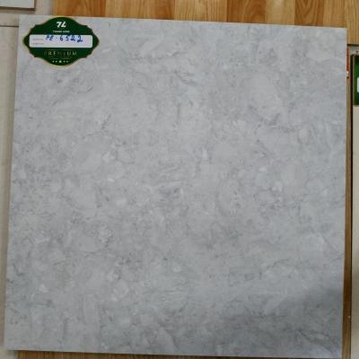 Gạch lát 60x60 BK_KTS PE6522