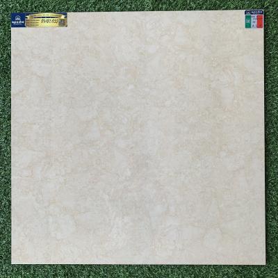Gạch lát 80x80 Solo 88182033