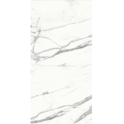 Gạch ốp 120x240 Staturio Natural E-SN084