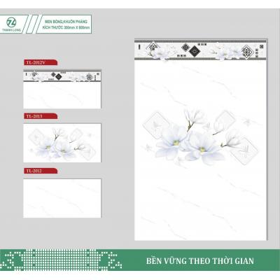 Gạch ốp 30x60 Đầu len 2012v
