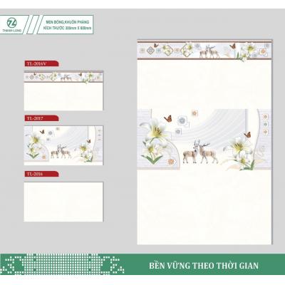 Gạch ốp 30x60 Điểm 2017