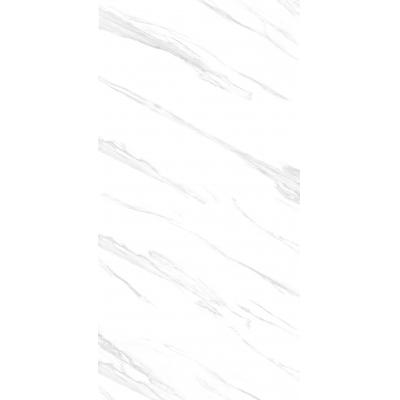 Gạch ốp 60x120 Luminosita Staturio E-LS084