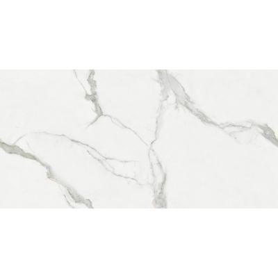Gạch ốp 60x120 Staturio Orion E-SO453
