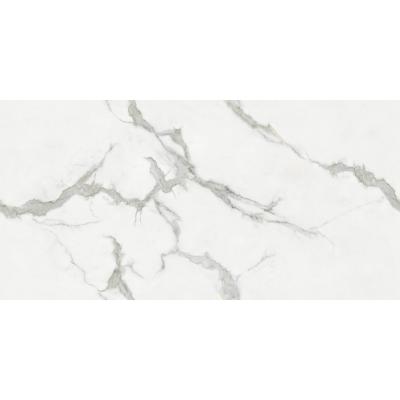 Gạch ốp 60x120 Staturio Orion E-SO453