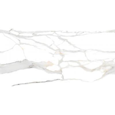 Gạch ốp 60x120 Staturio Valencia E-SV452